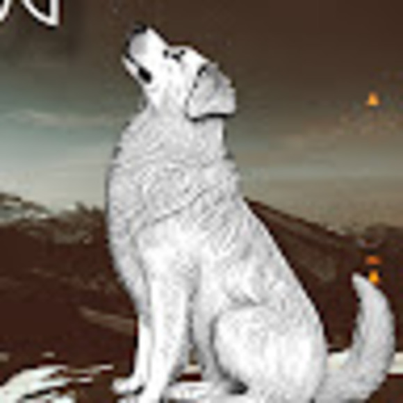whitedogtarot